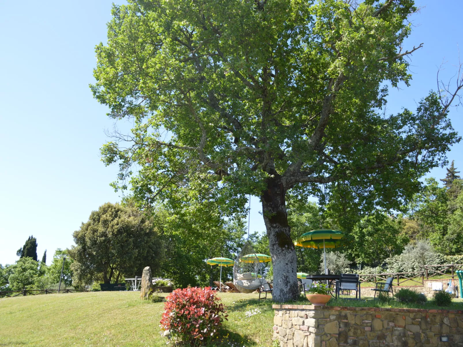 A spasso tra gli ulivi-Outside