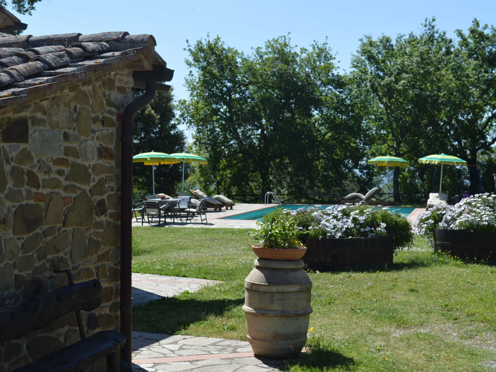 A spasso tra gli ulivi-Outside
