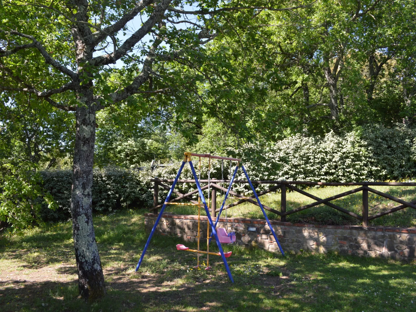 A spasso tra gli ulivi-Outside