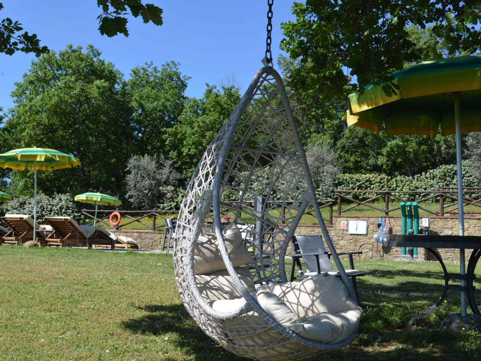 A spasso tra gli ulivi-Outside