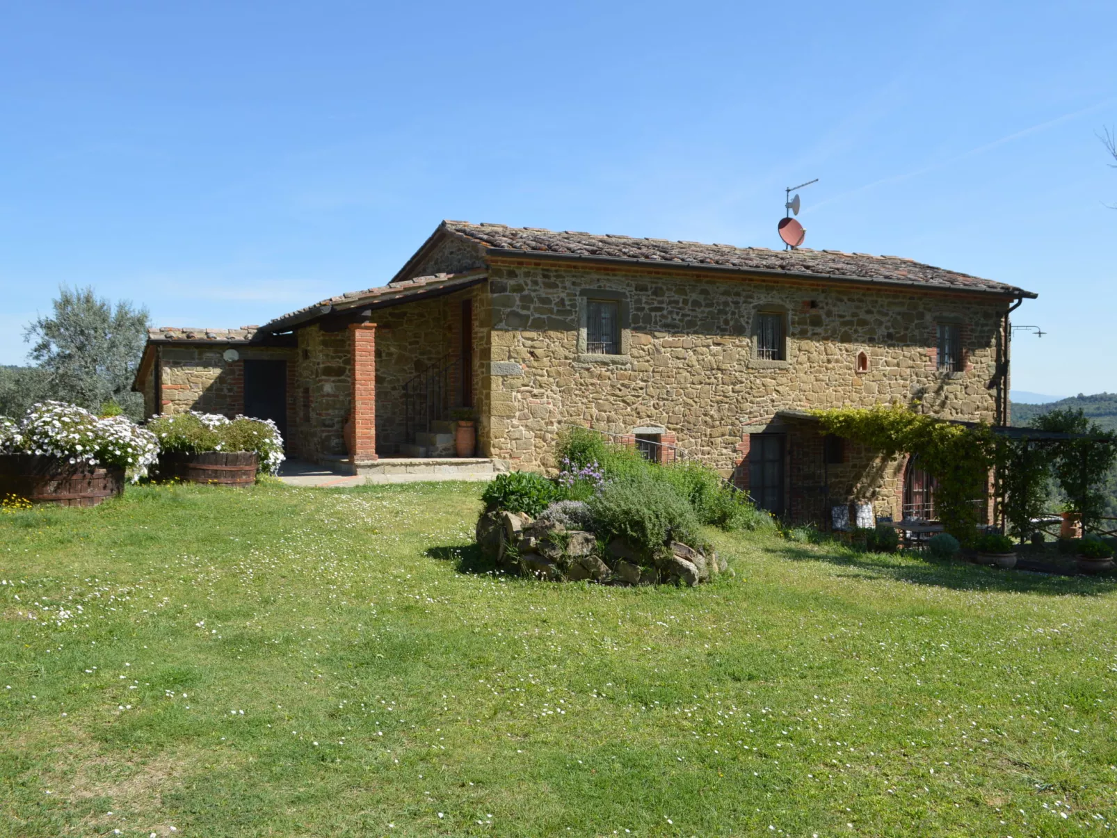 A spasso tra gli ulivi-Outside