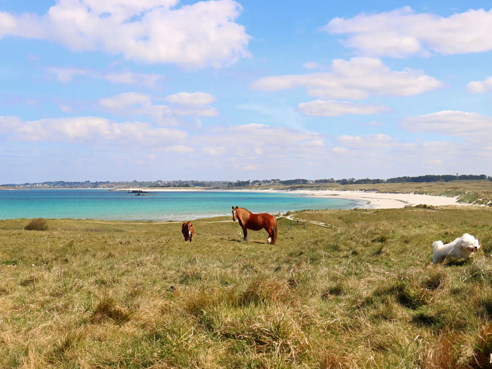 La Ferme-Area