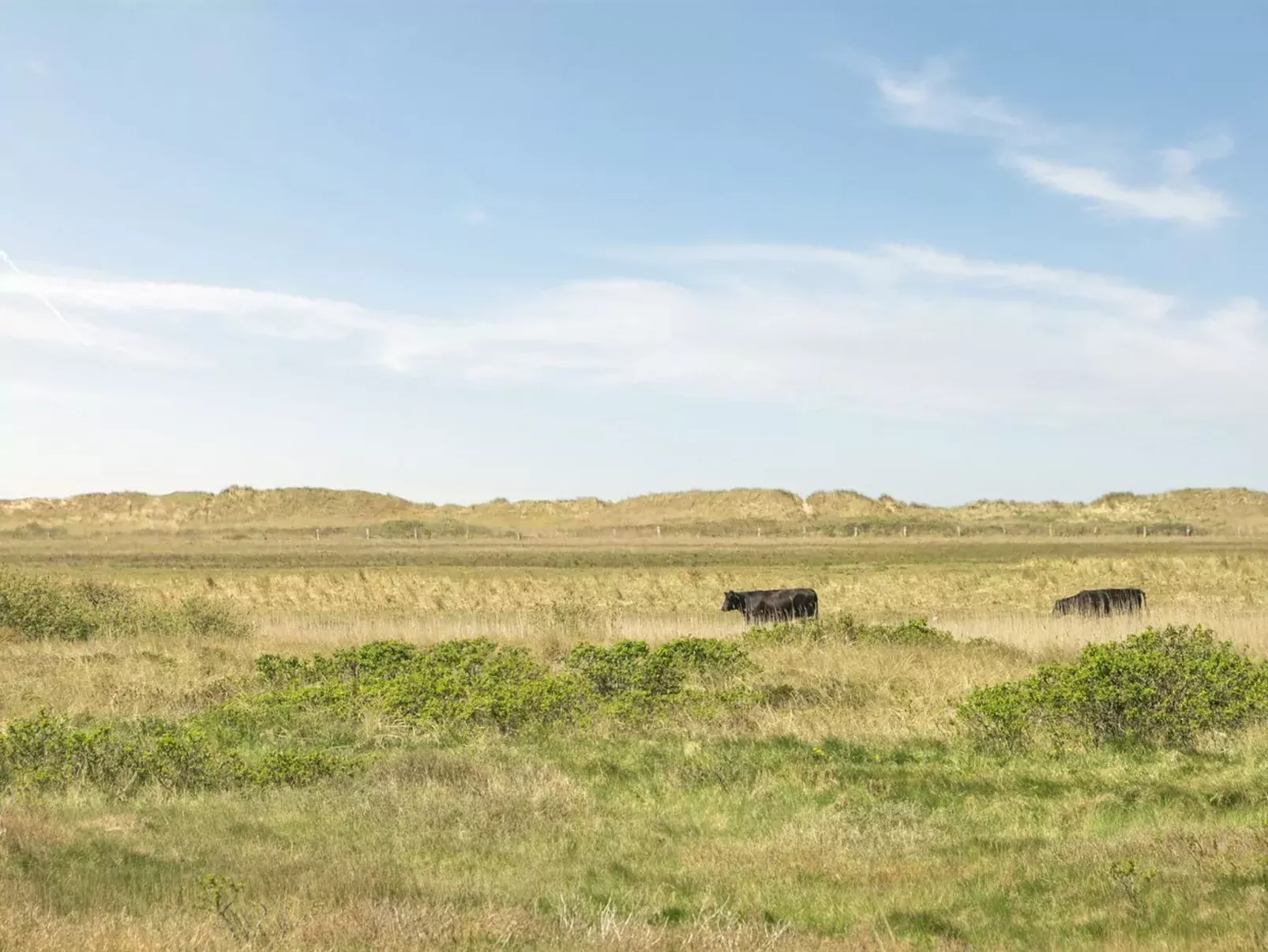 "Hermoth" - 300m from the sea-Drinnen