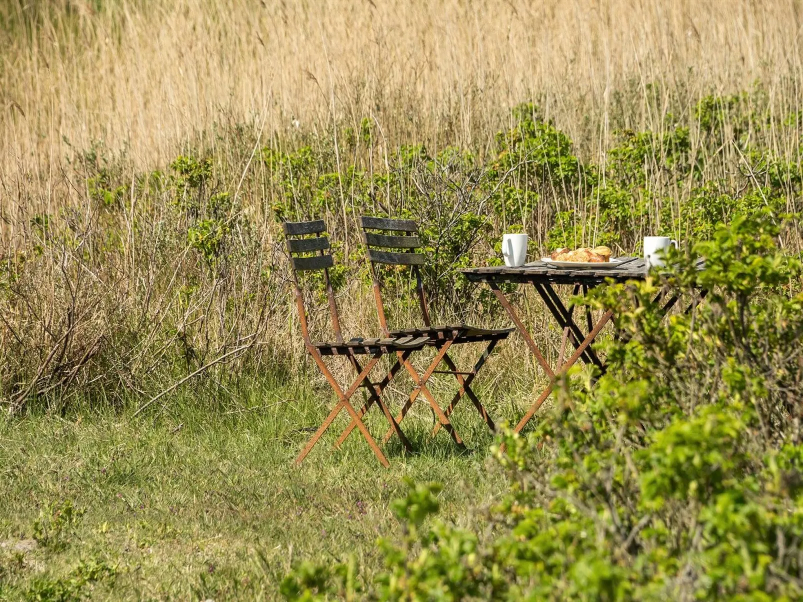 "Hermoth" - 300m from the sea-Draußen