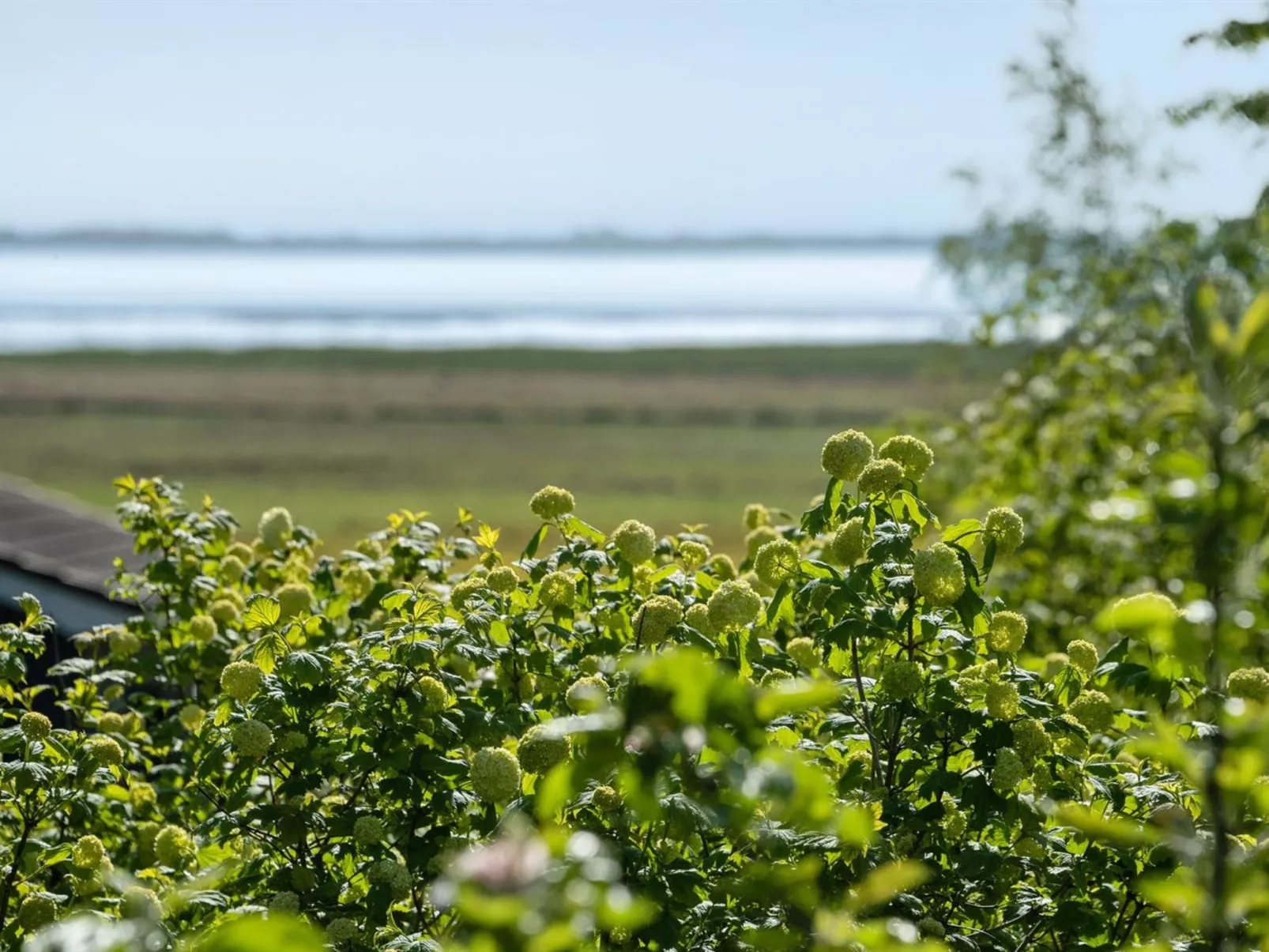 "Iiro" - 2.5km from the sea-Outside