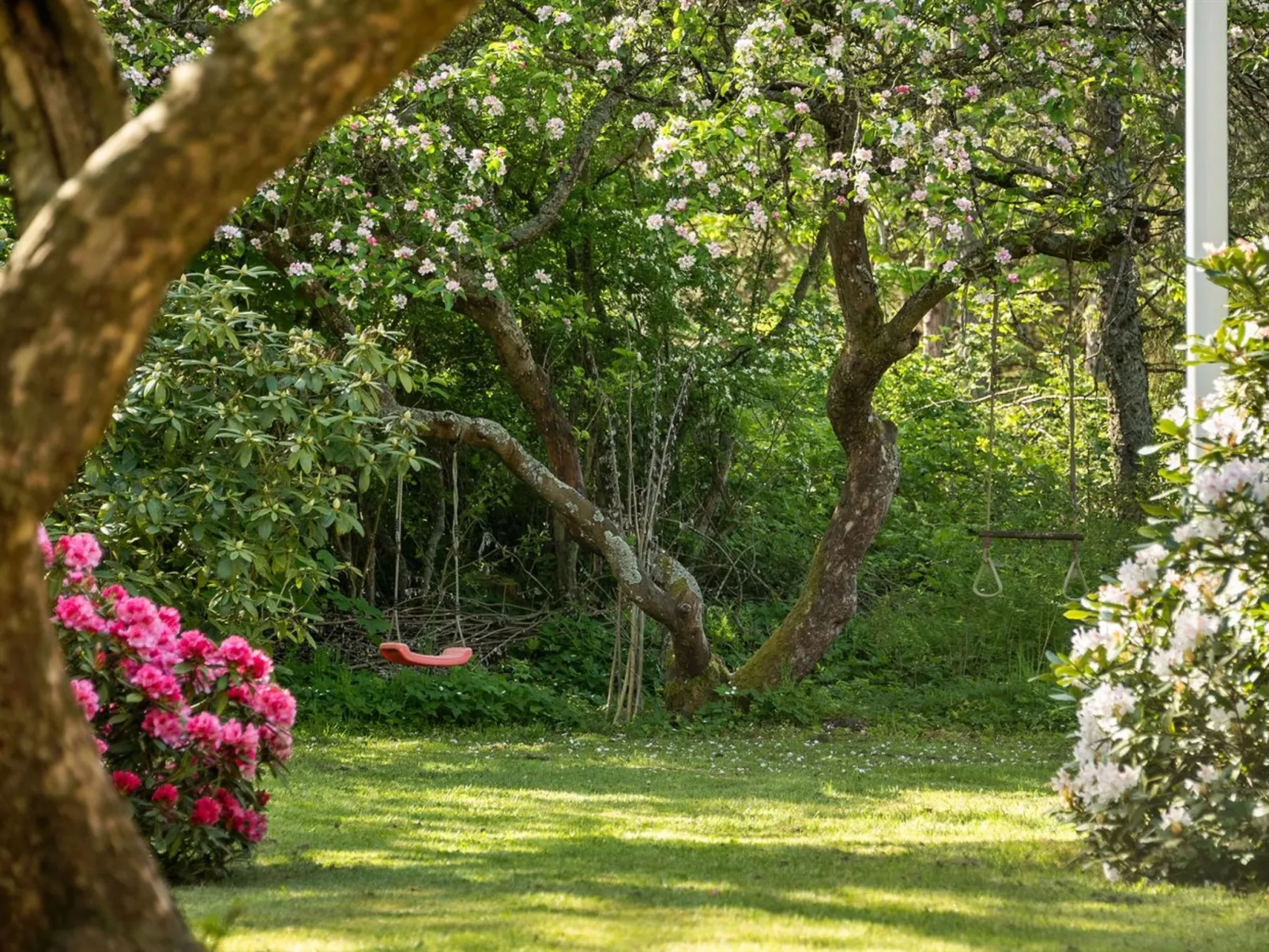 "Iiro" - 2.5km from the sea-Outside