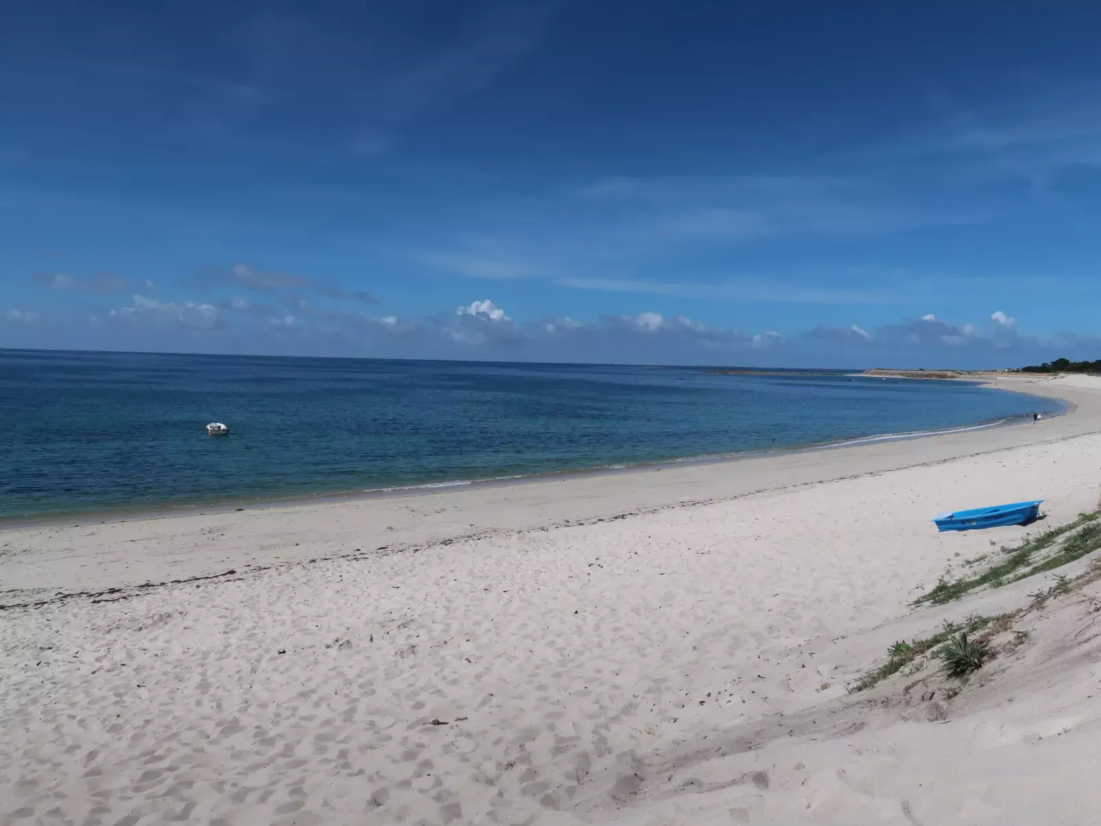 Lagon bleu-Area