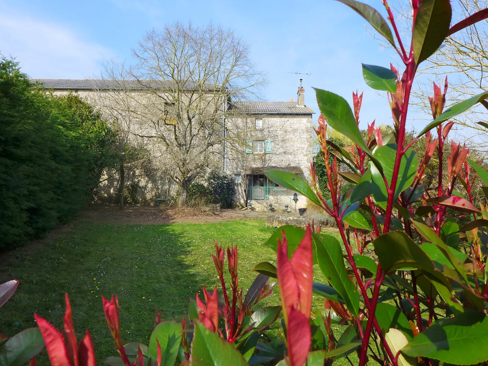Le Jardin de Timothee-Dehors