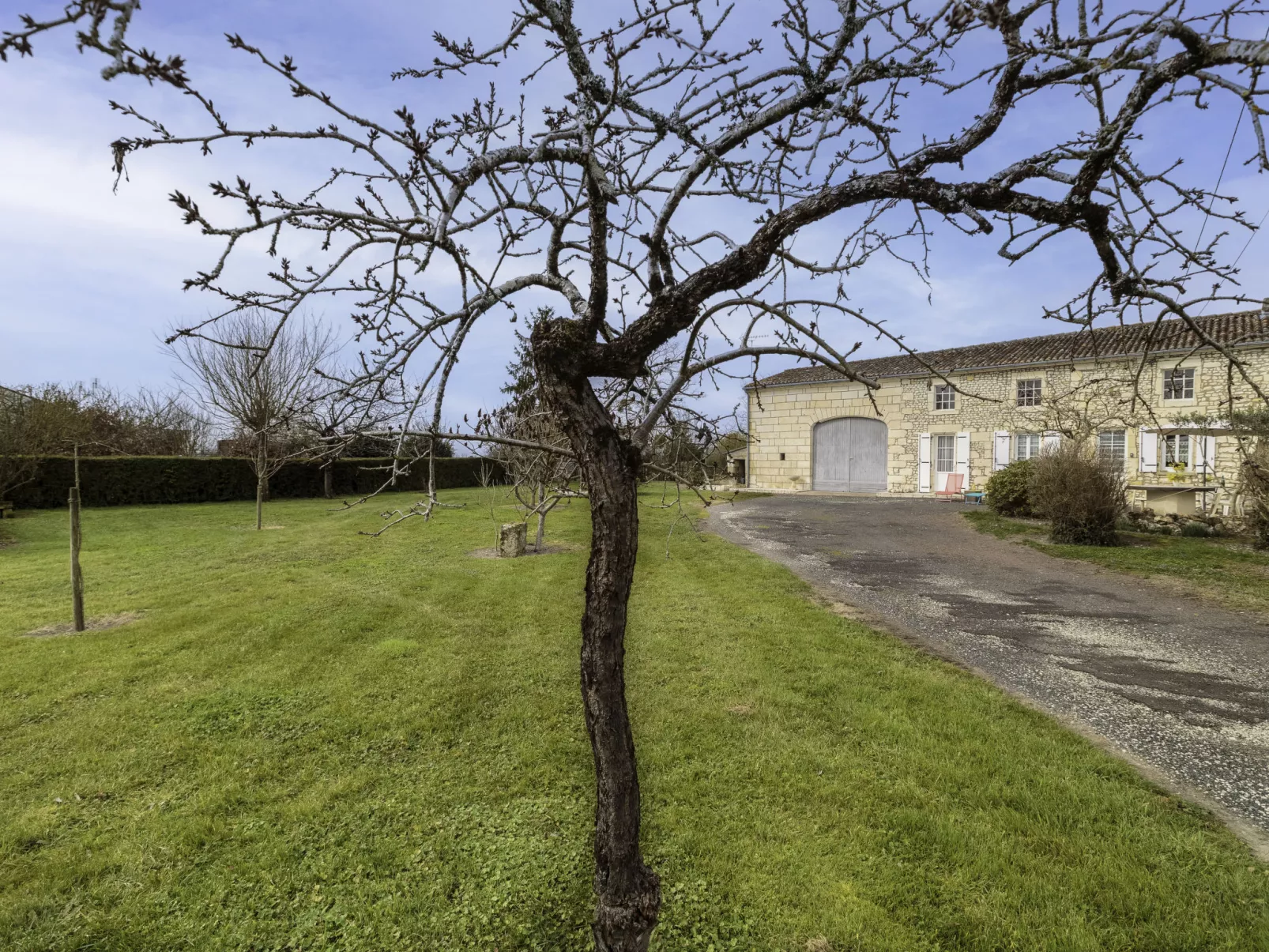 Gîte La Truffière Saintongeaise-Draußen