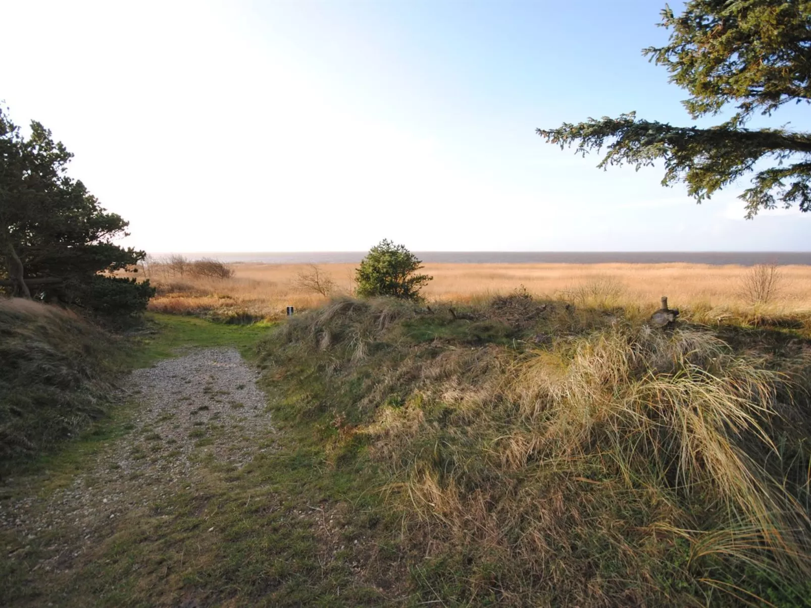"Bjart" - 50m to the inlet-Outside