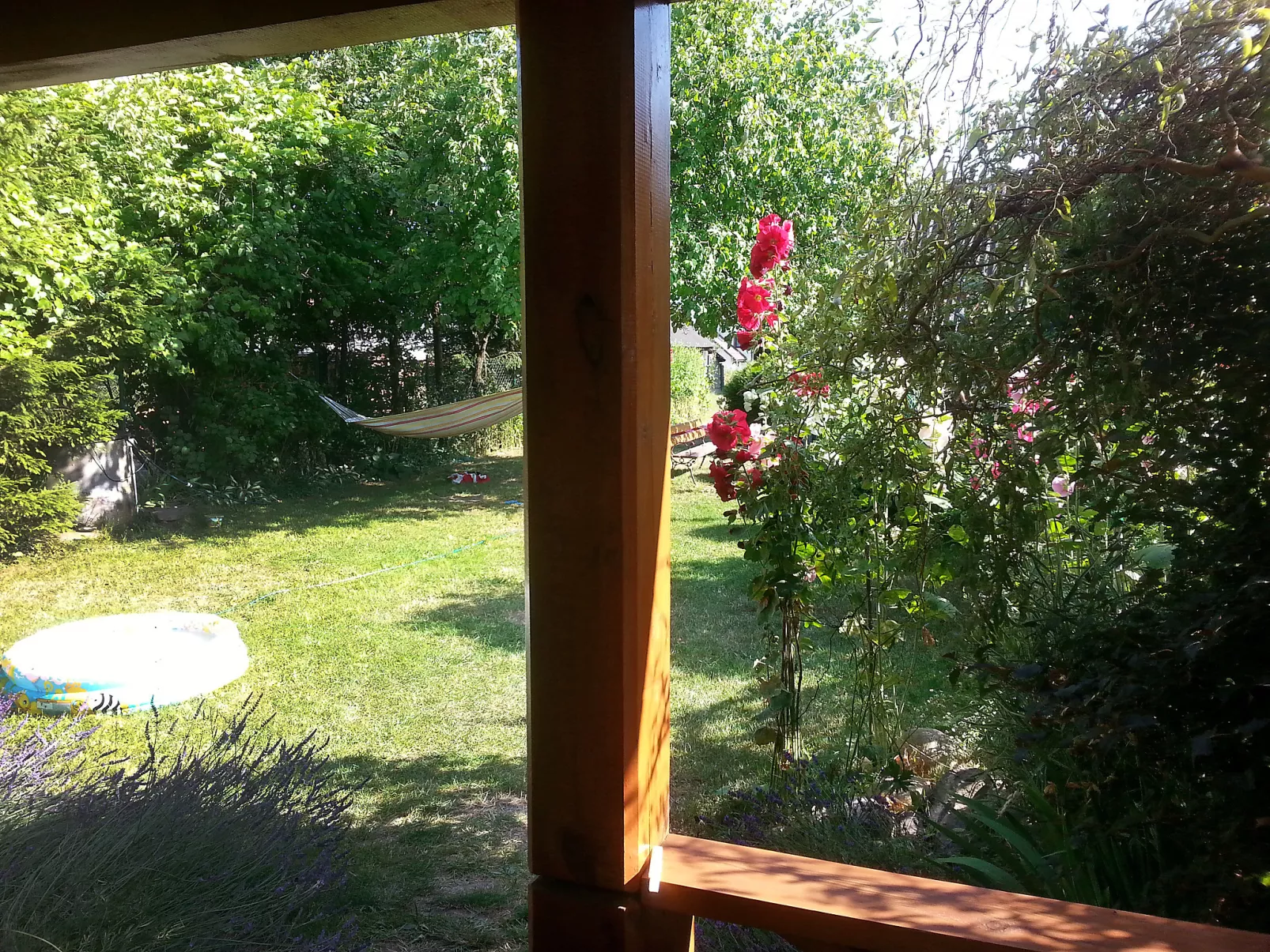 U Prabaci Olgi-Dehors