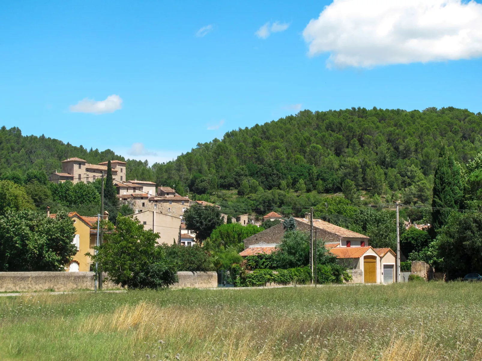 Villa Faro-Area