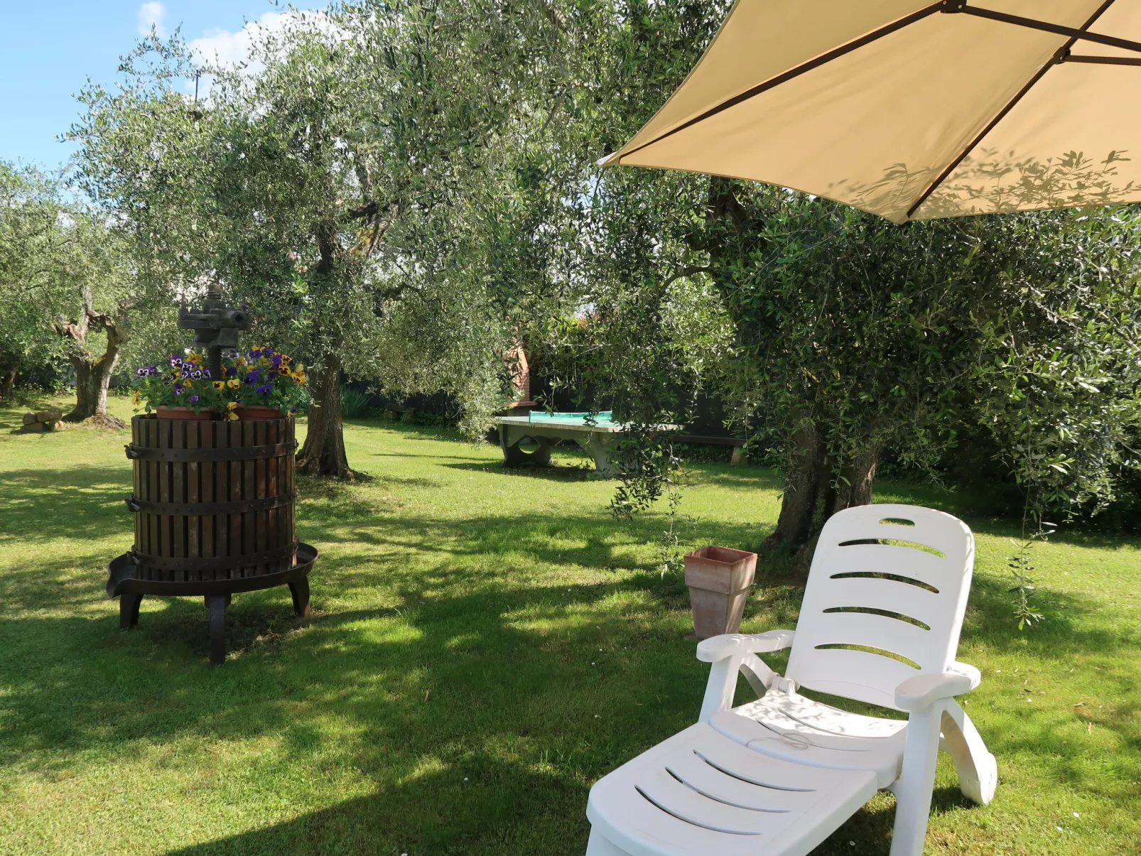 Casale L'Uliveta-Outside