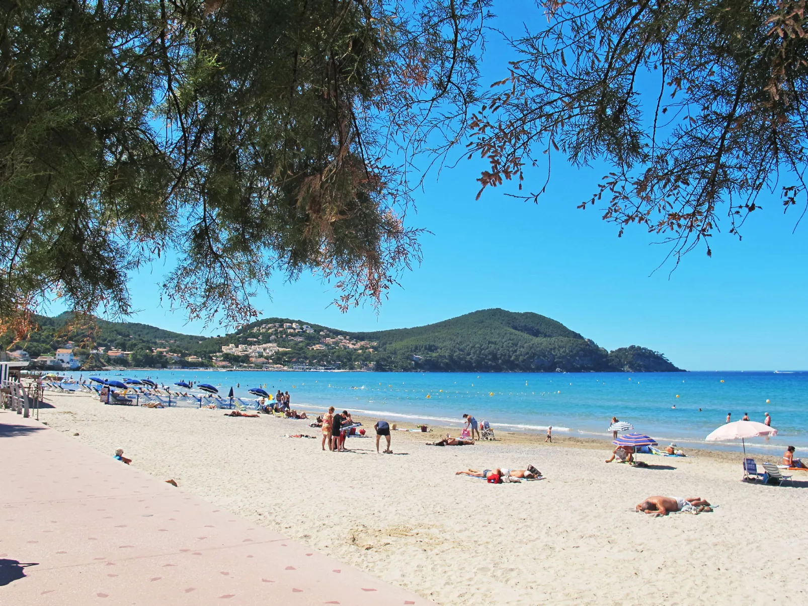 Baie des Lecques-Area