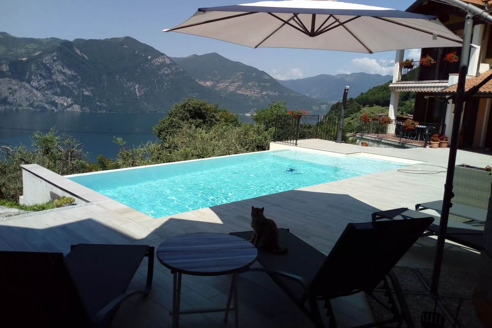 Bellavista-Swimming pool
