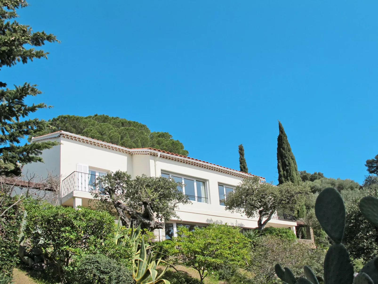 Villa Montemare Babette-Draußen