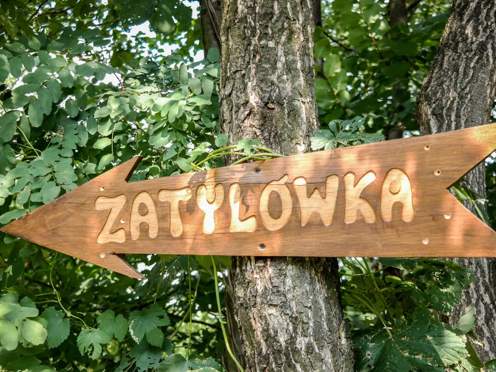 Zatylówka Dom na Wyspie-Inside