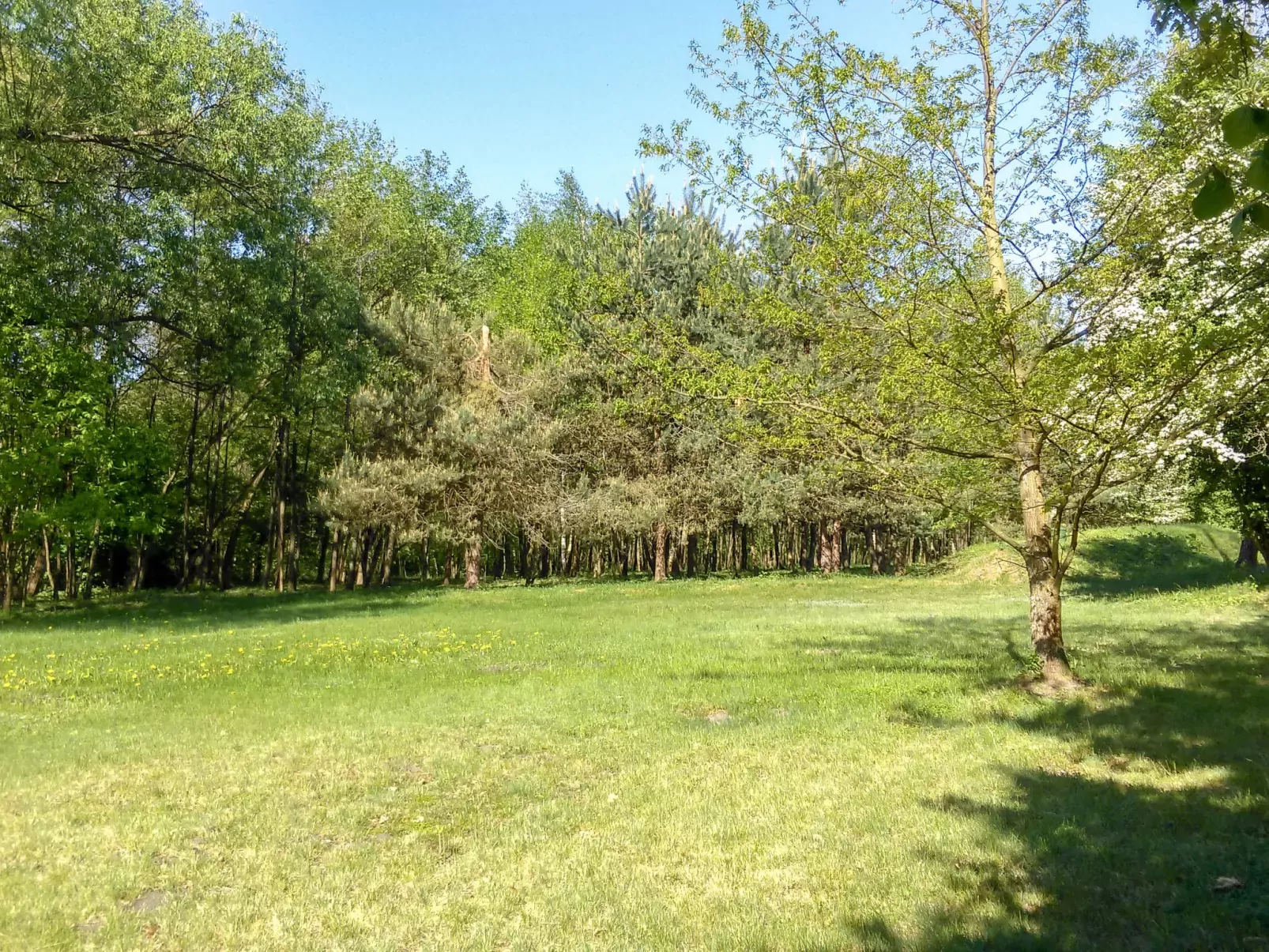 Zatylówka Dom na Wyspie-Outside