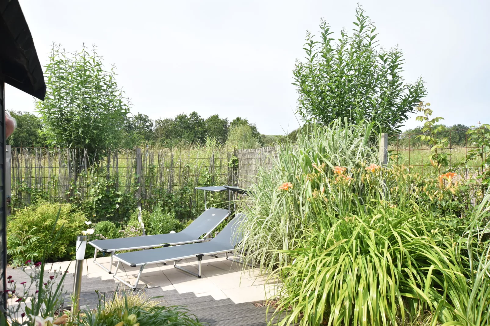 Duinzicht-View summer