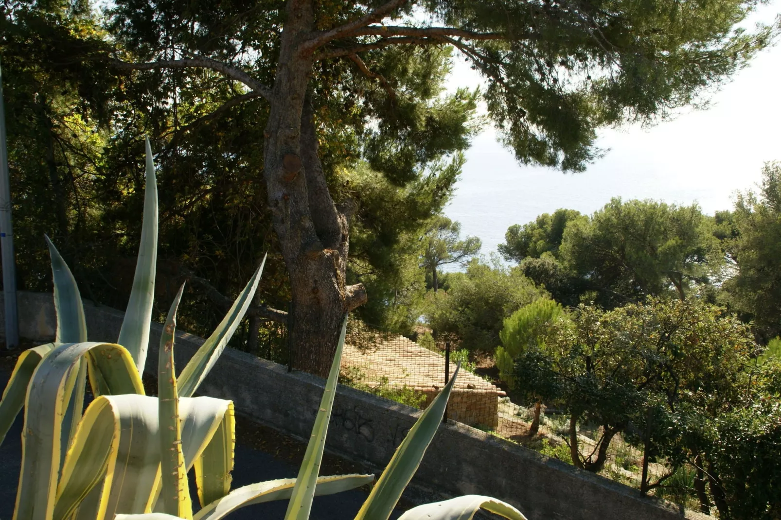 Villa Carqueiranne-Gardens summer