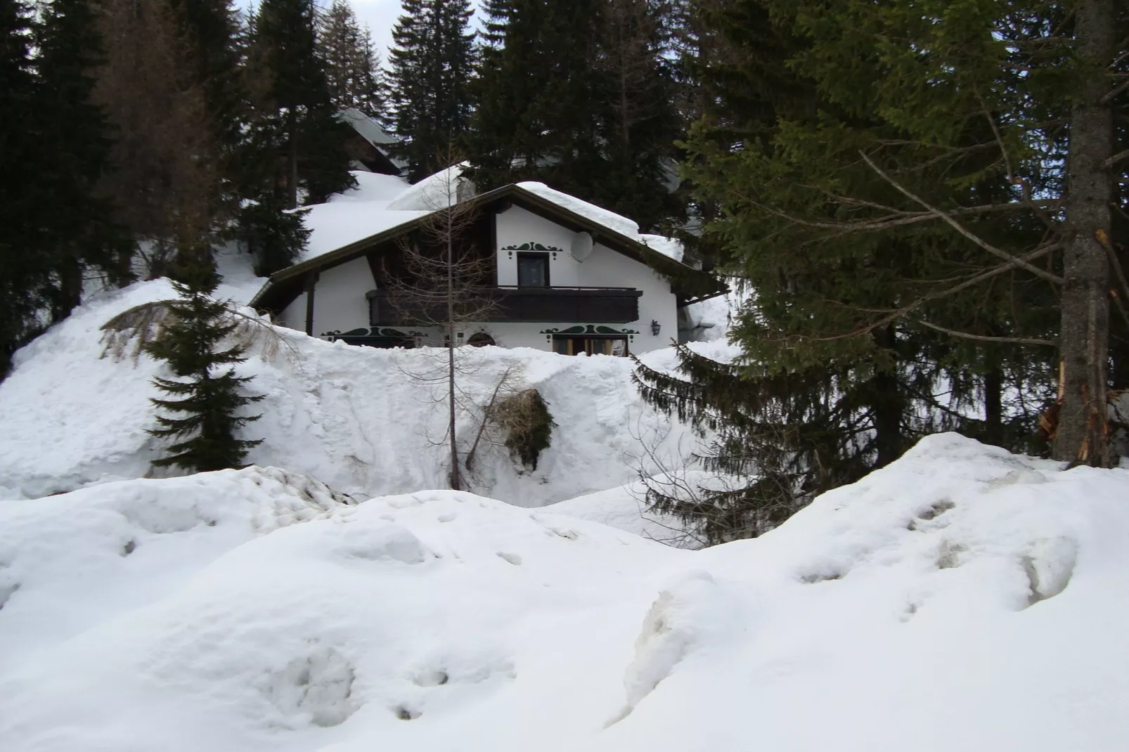 Chalet Truppe-Exterior winter