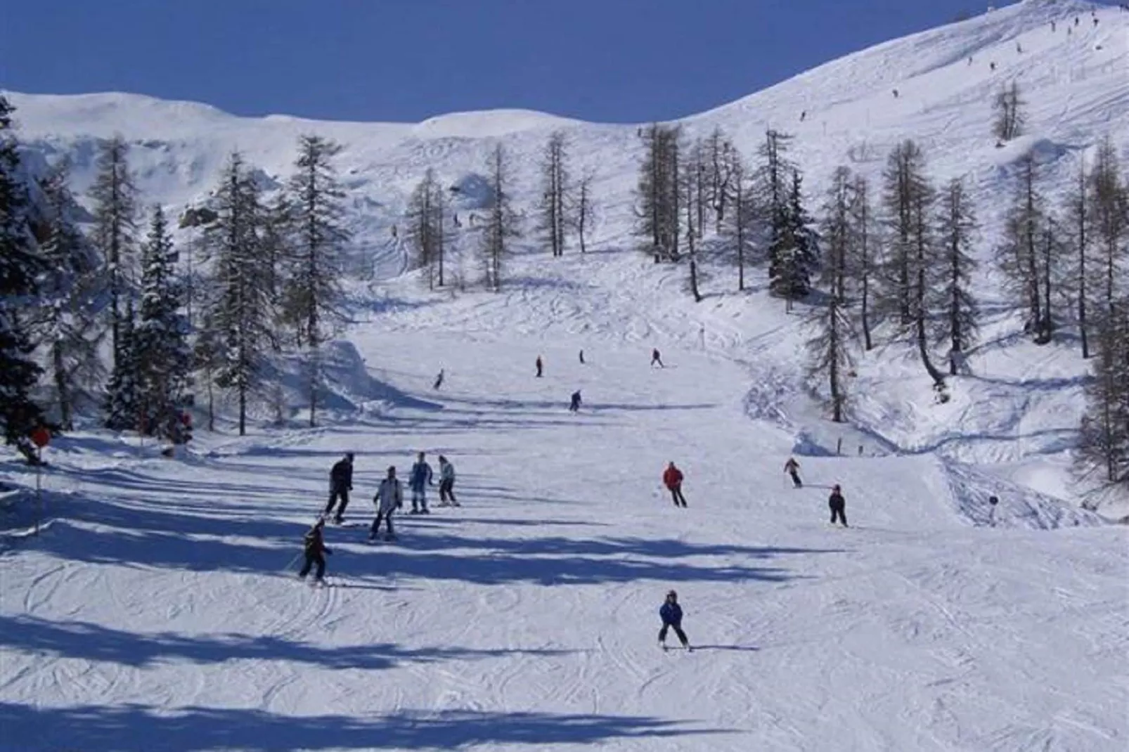 Chalet Truppe-Area winter 1km