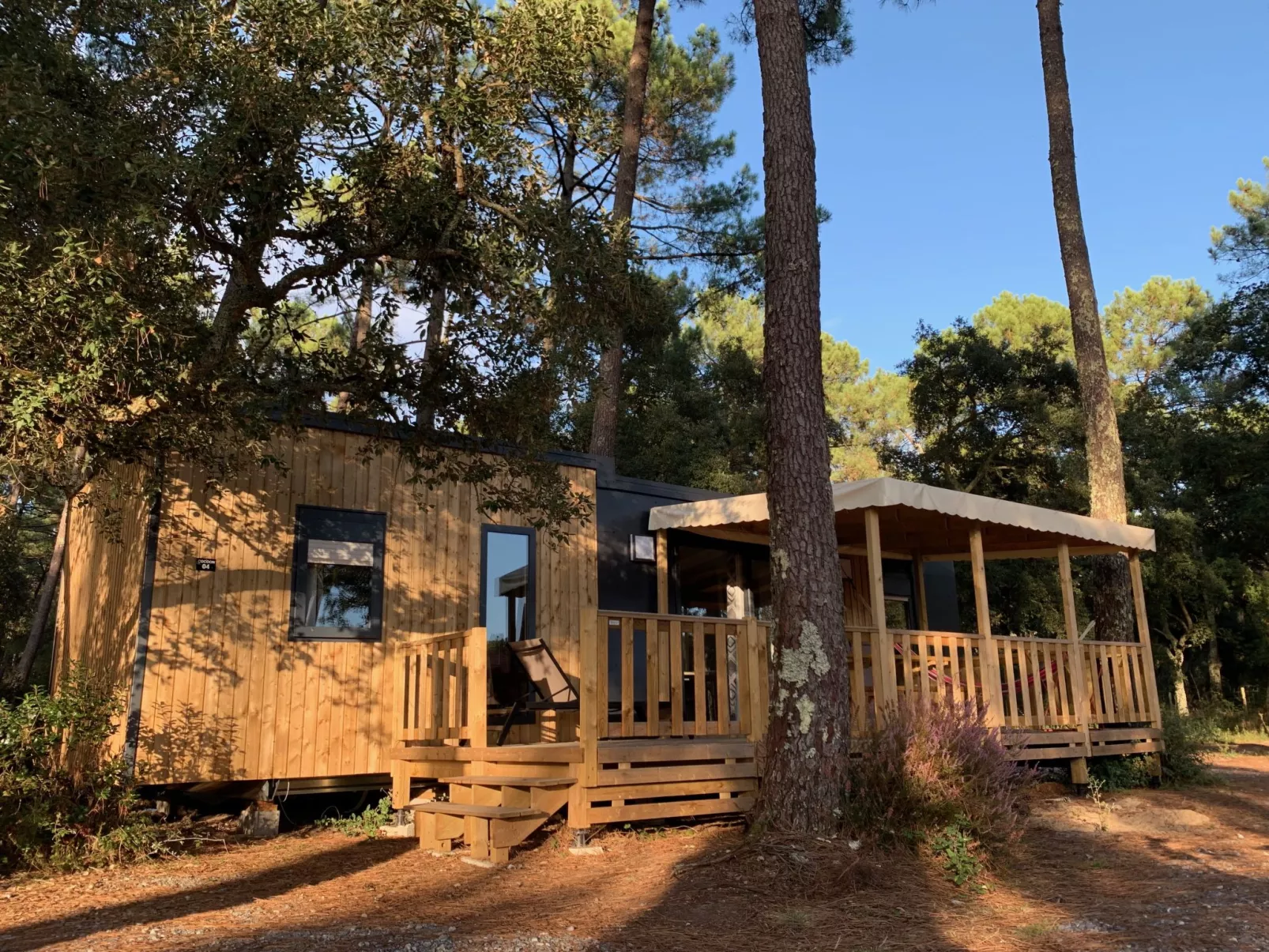 Premium Cocoon-Outside