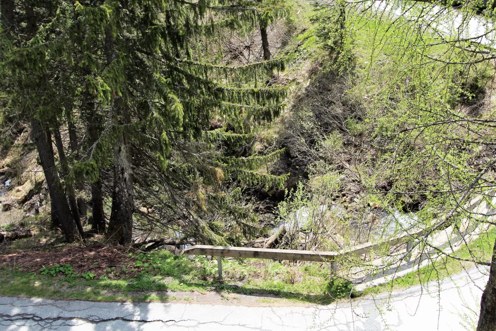 Chalet Truppe-View summer