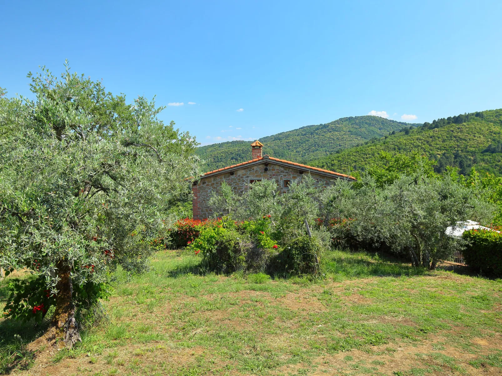 Tegliaia-Outside