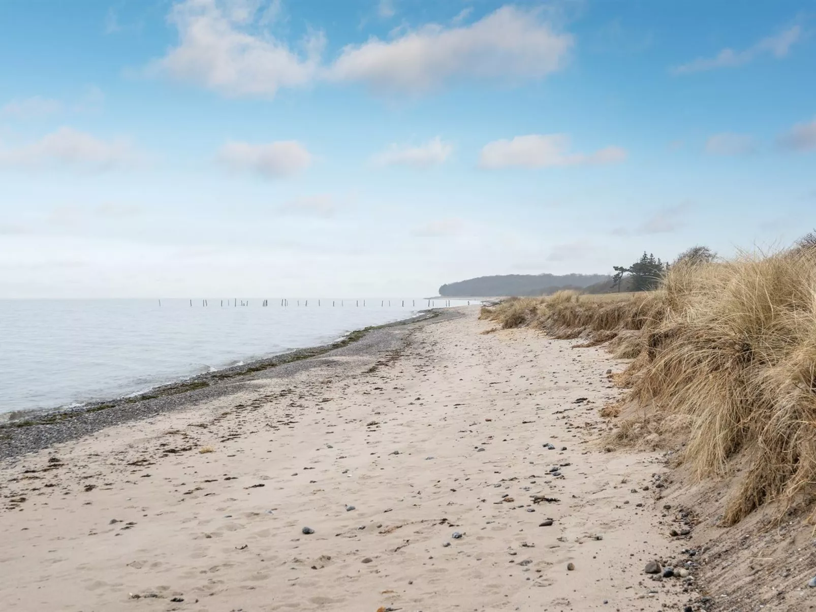"Hattie" - 100m from the sea-Outside