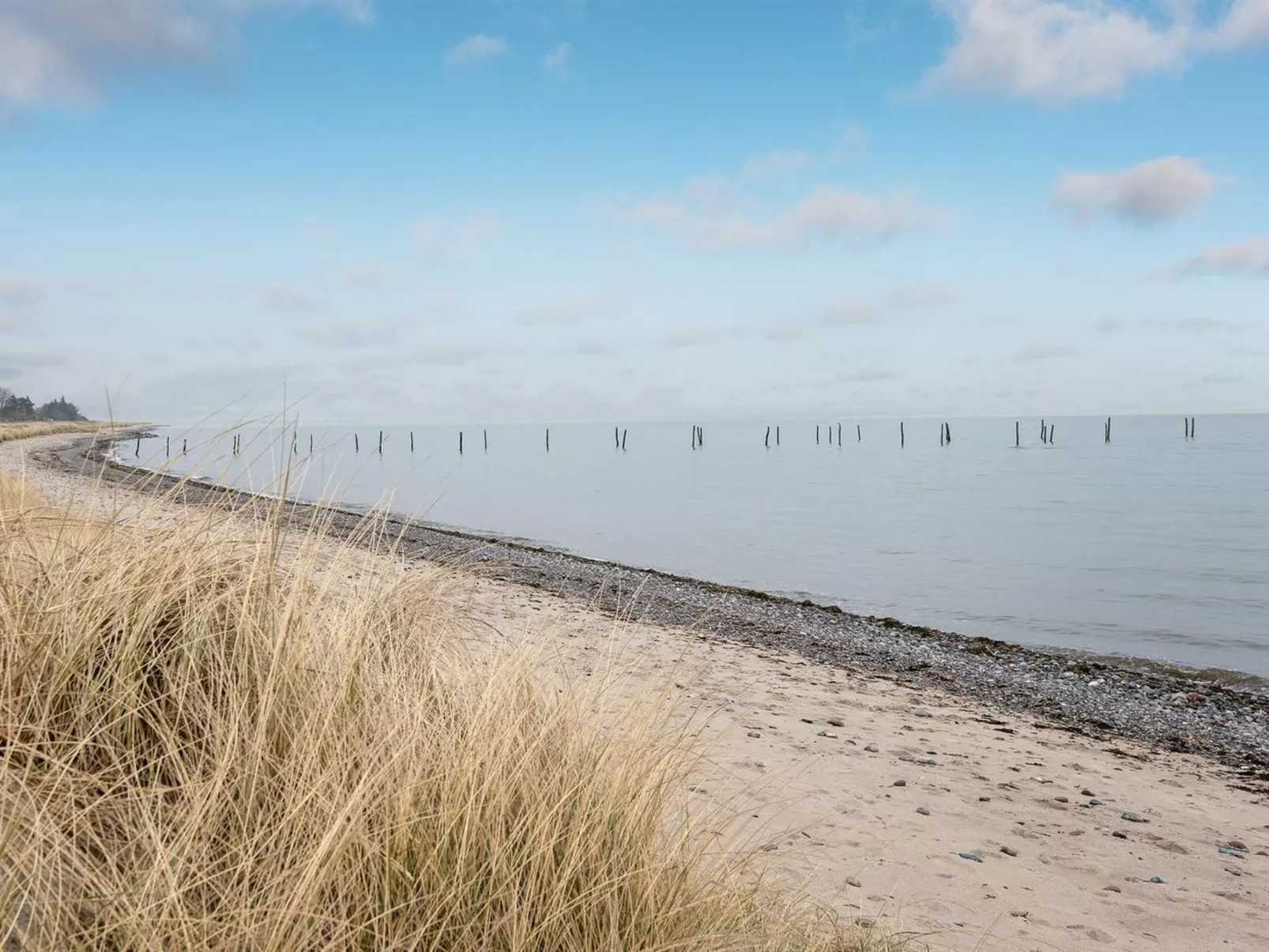 "Hattie" - 100m from the sea-Outside