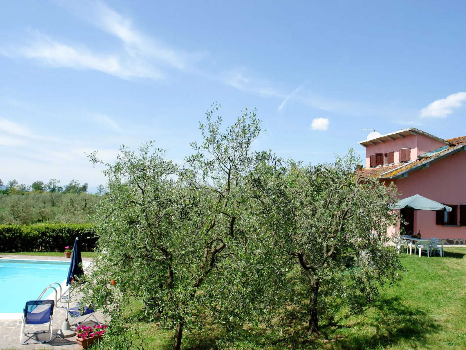 Podere Cerbaia (SMR100)-Draußen