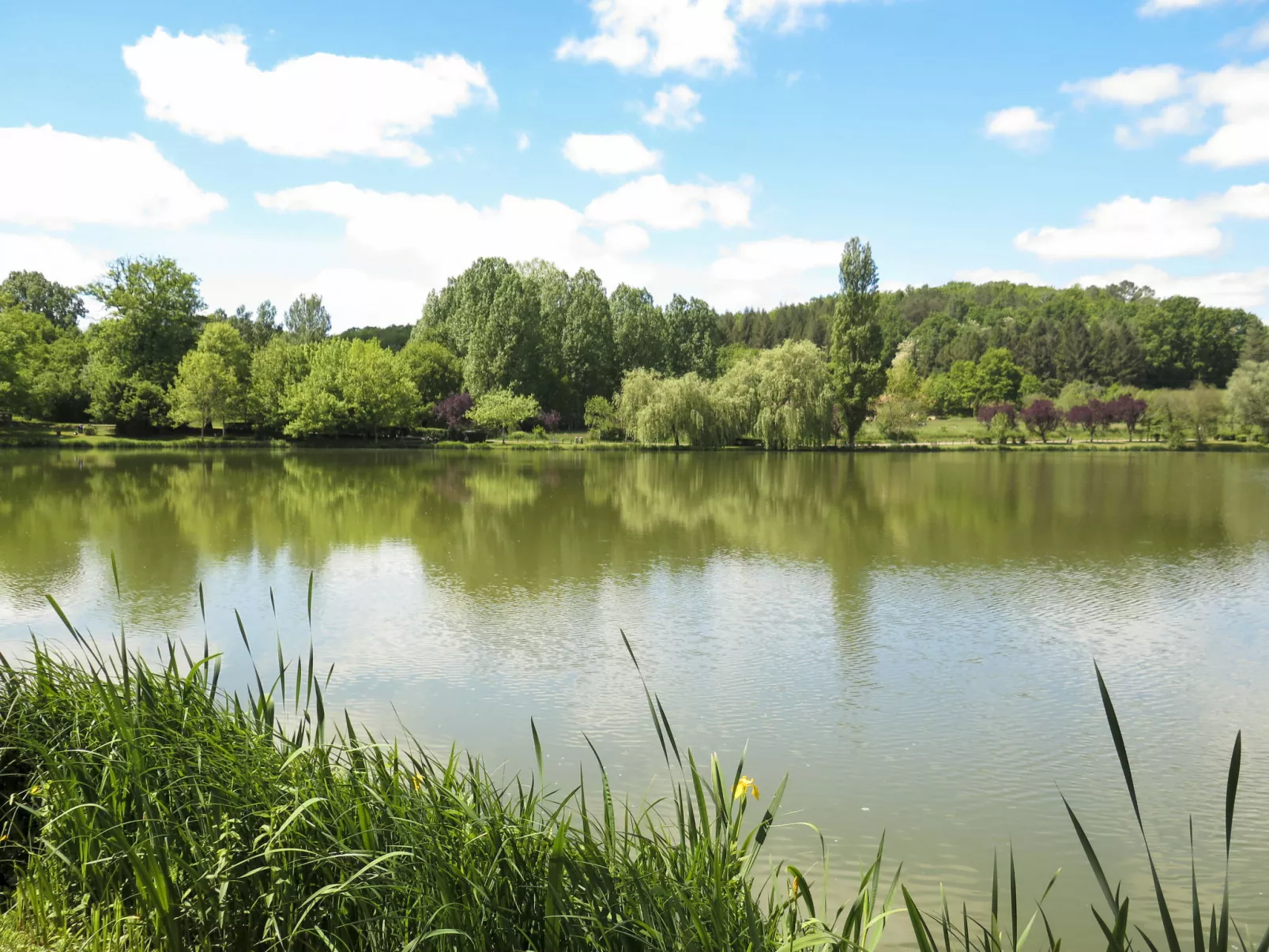 Le Champ du Lac-Area