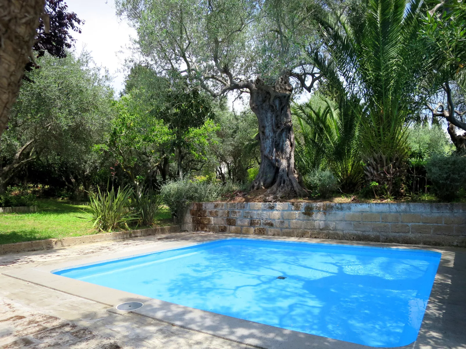 Three-room Classic-Outside