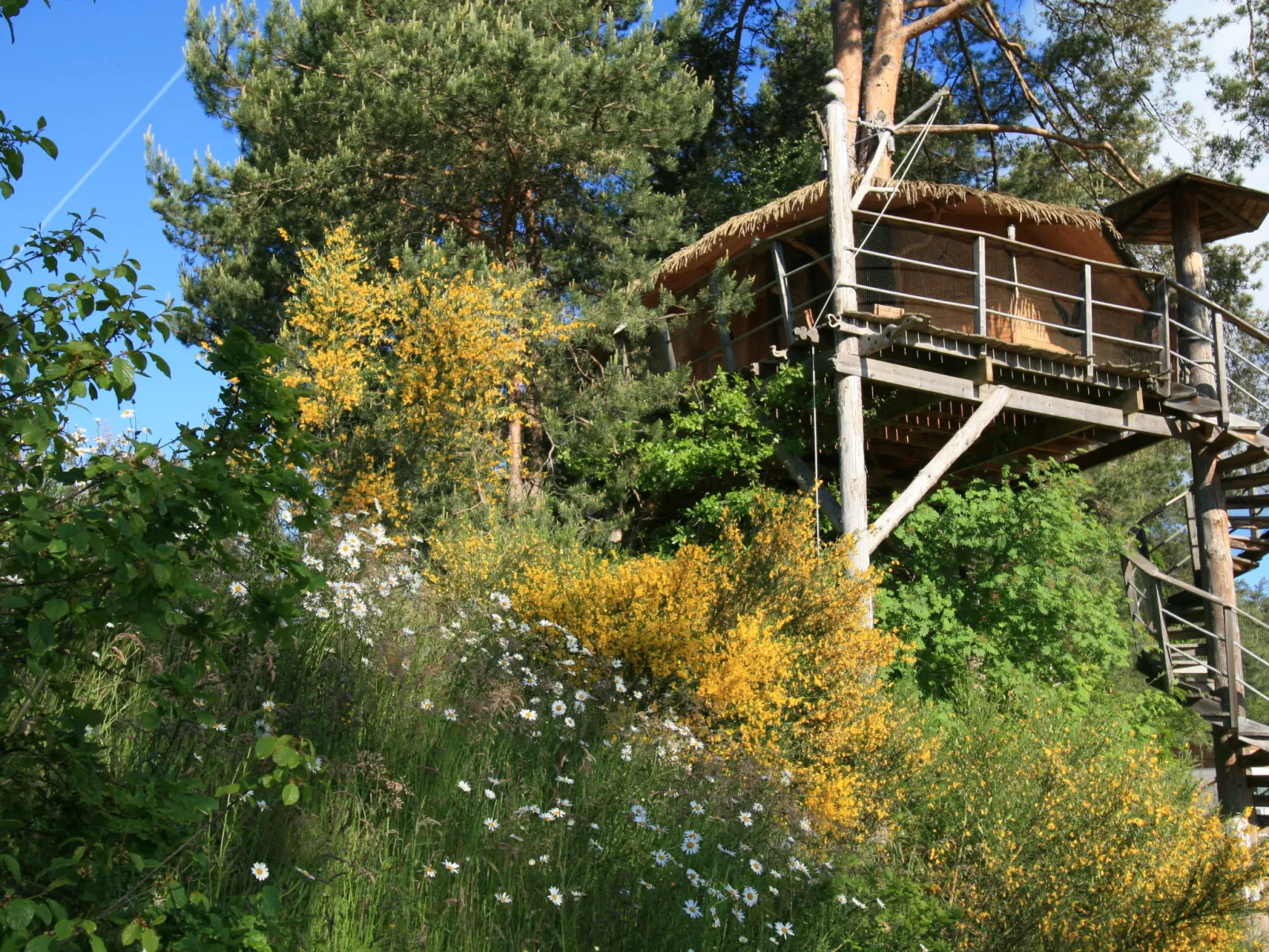 Domaine des Monédières - Chalet Lac 4-6-Draußen