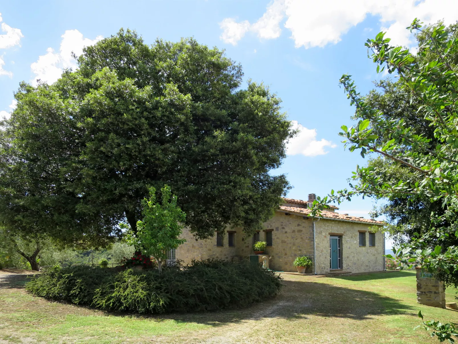 Bardi II-Outside