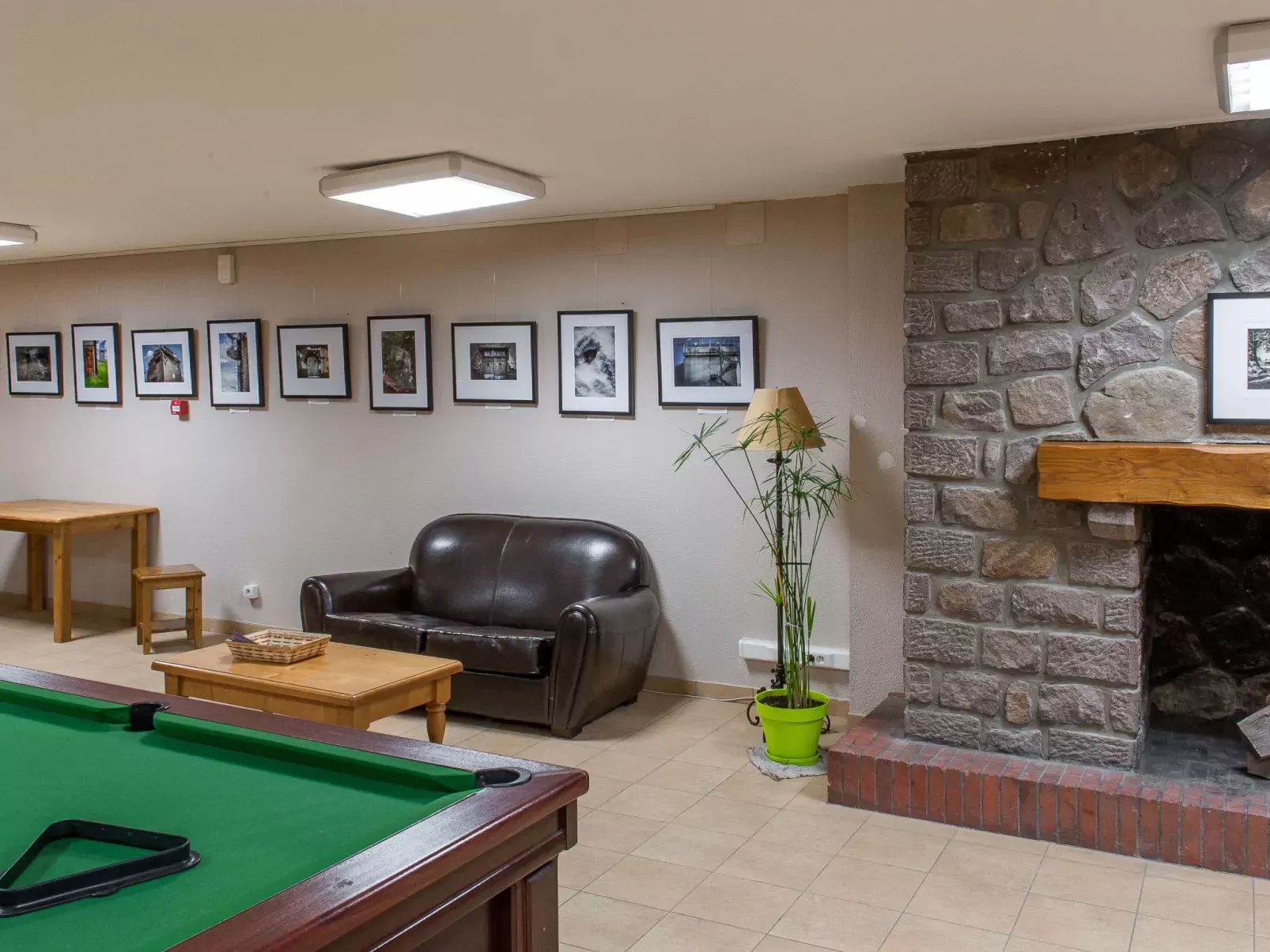 Le Bois de la Reine-Dehors