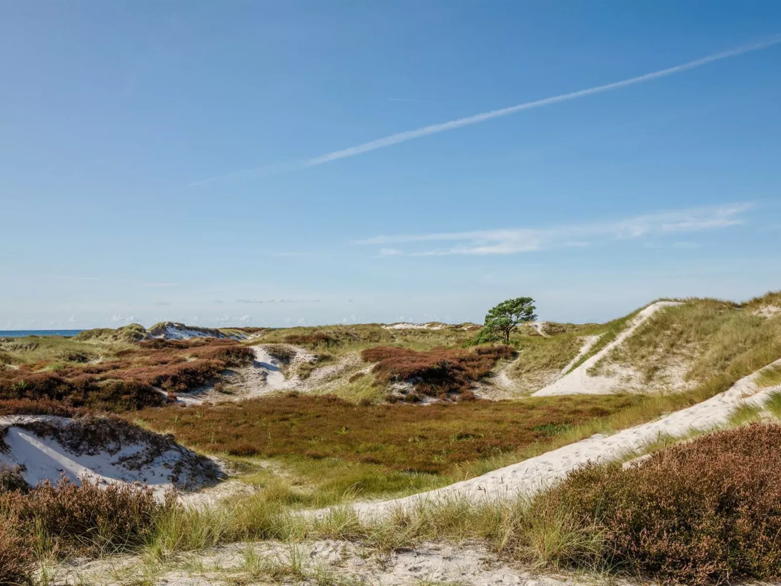 "Elza" - 800m from the sea-Drinnen