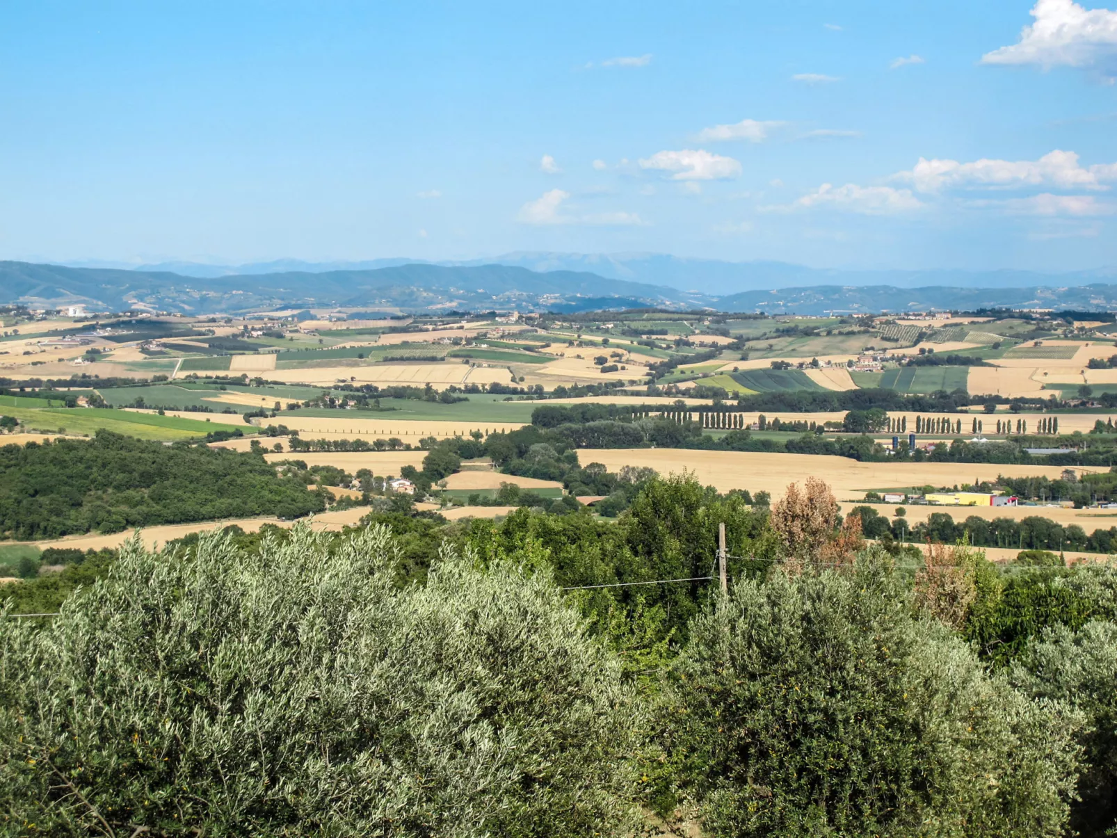 La Collina Fiorita-Outside