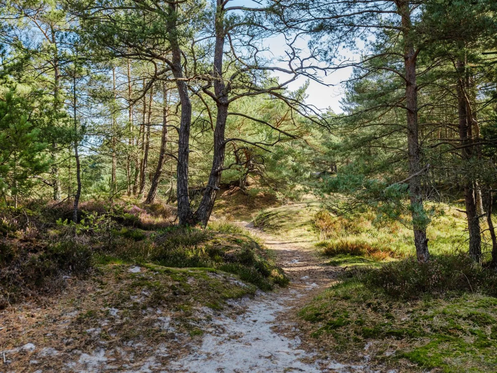 "Elza" - 800m from the sea-Draußen