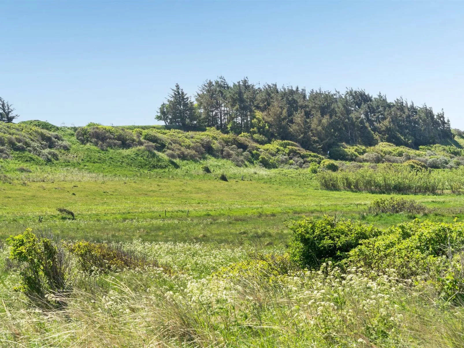 "Welma" - 500m from the sea-Outside