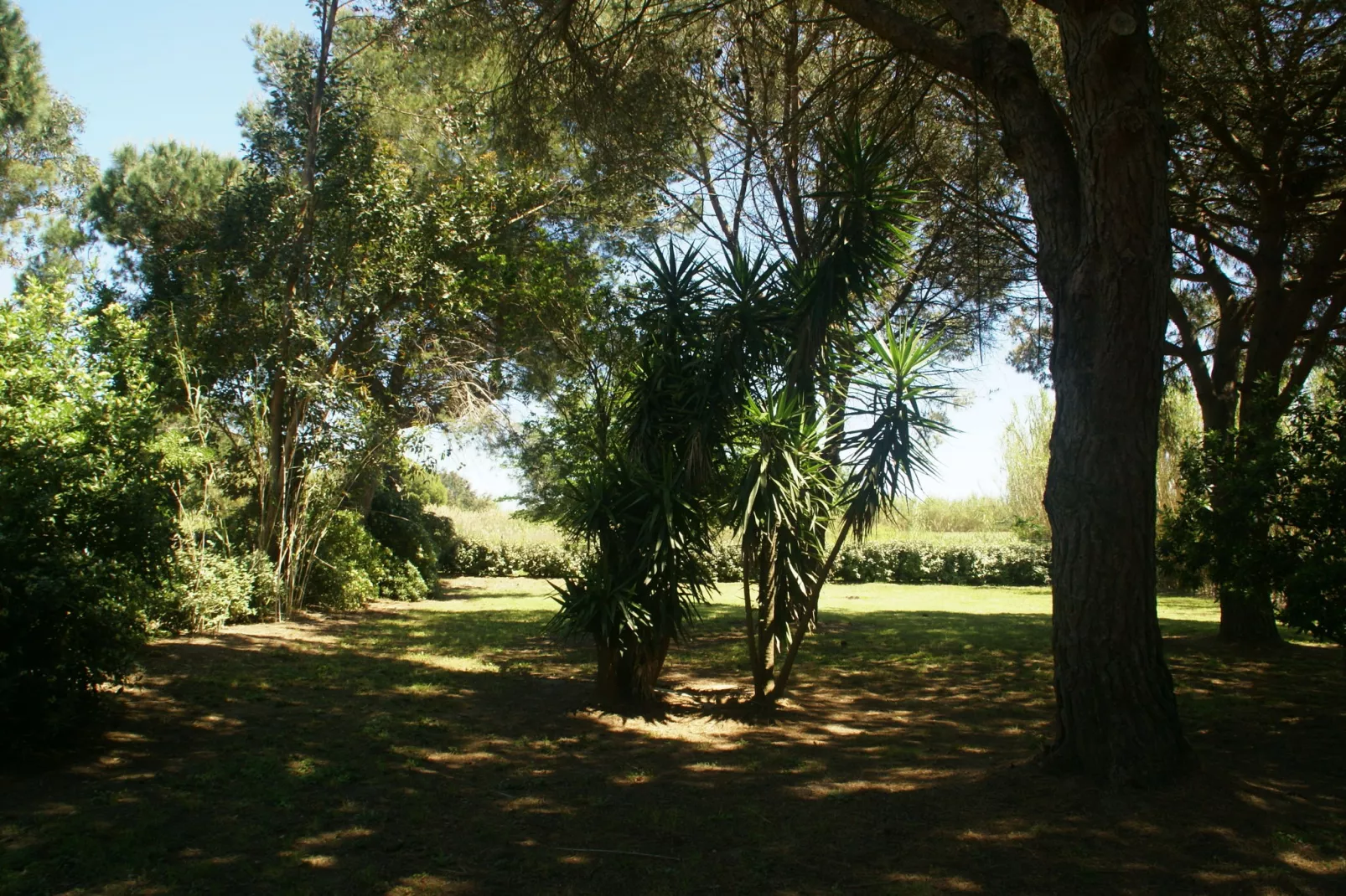 Romarins-Gardens summer
