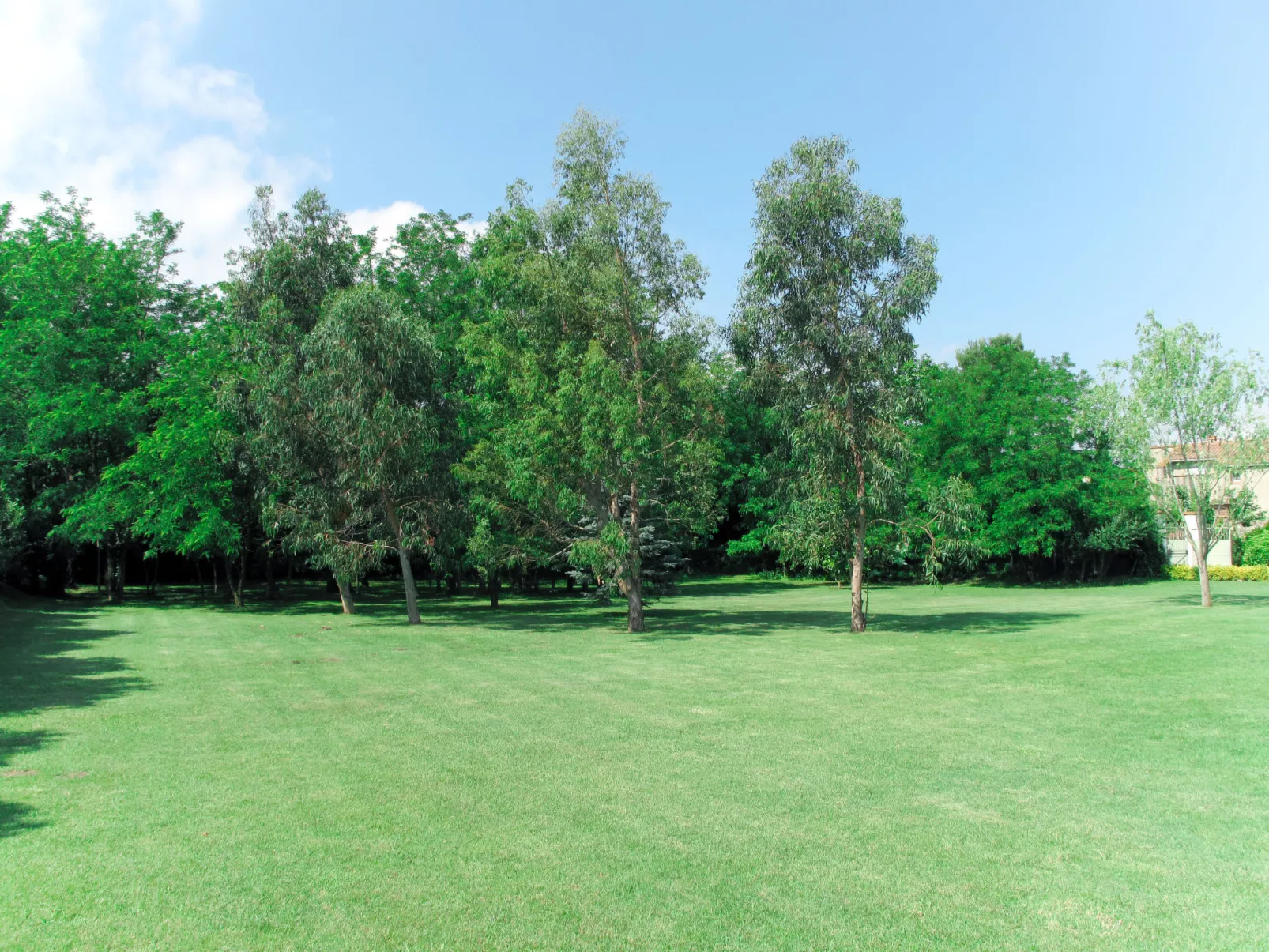 Villa Jaume-Outside