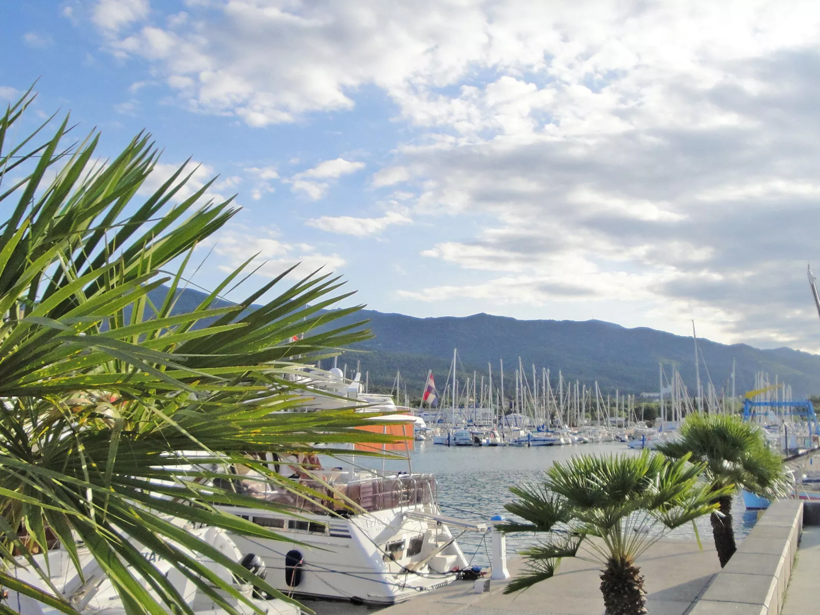 Villa Jaume-Area