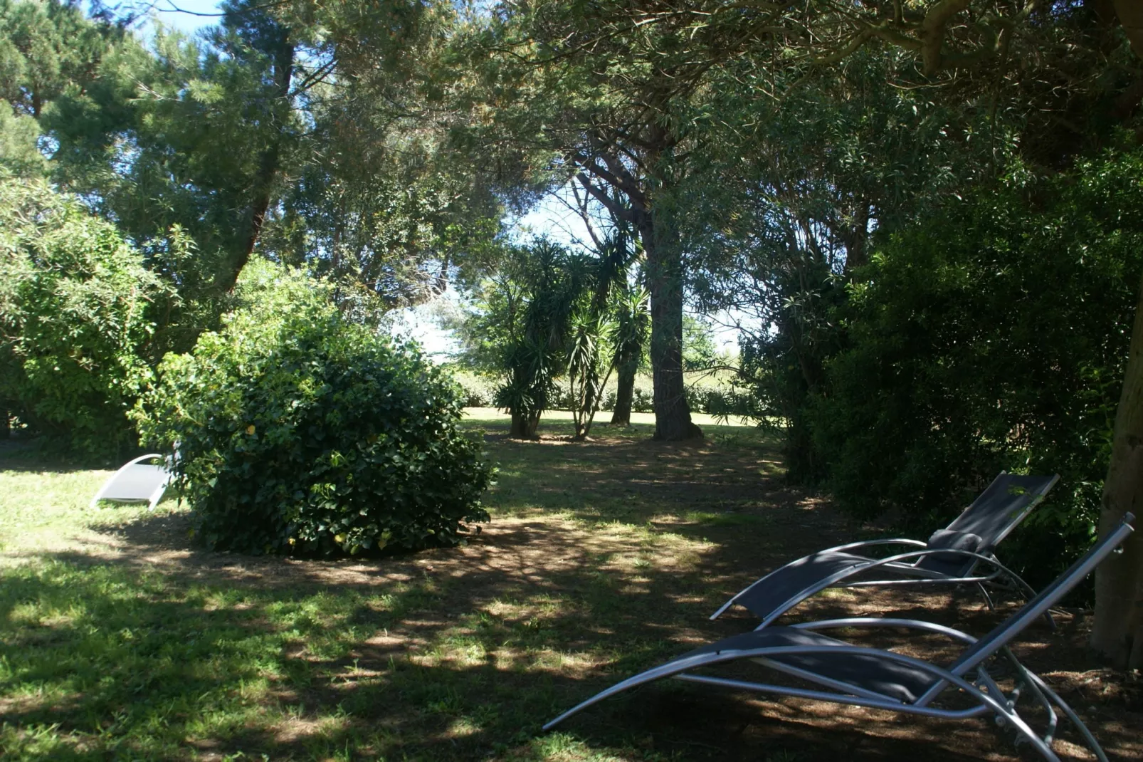Romarins-Gardens summer