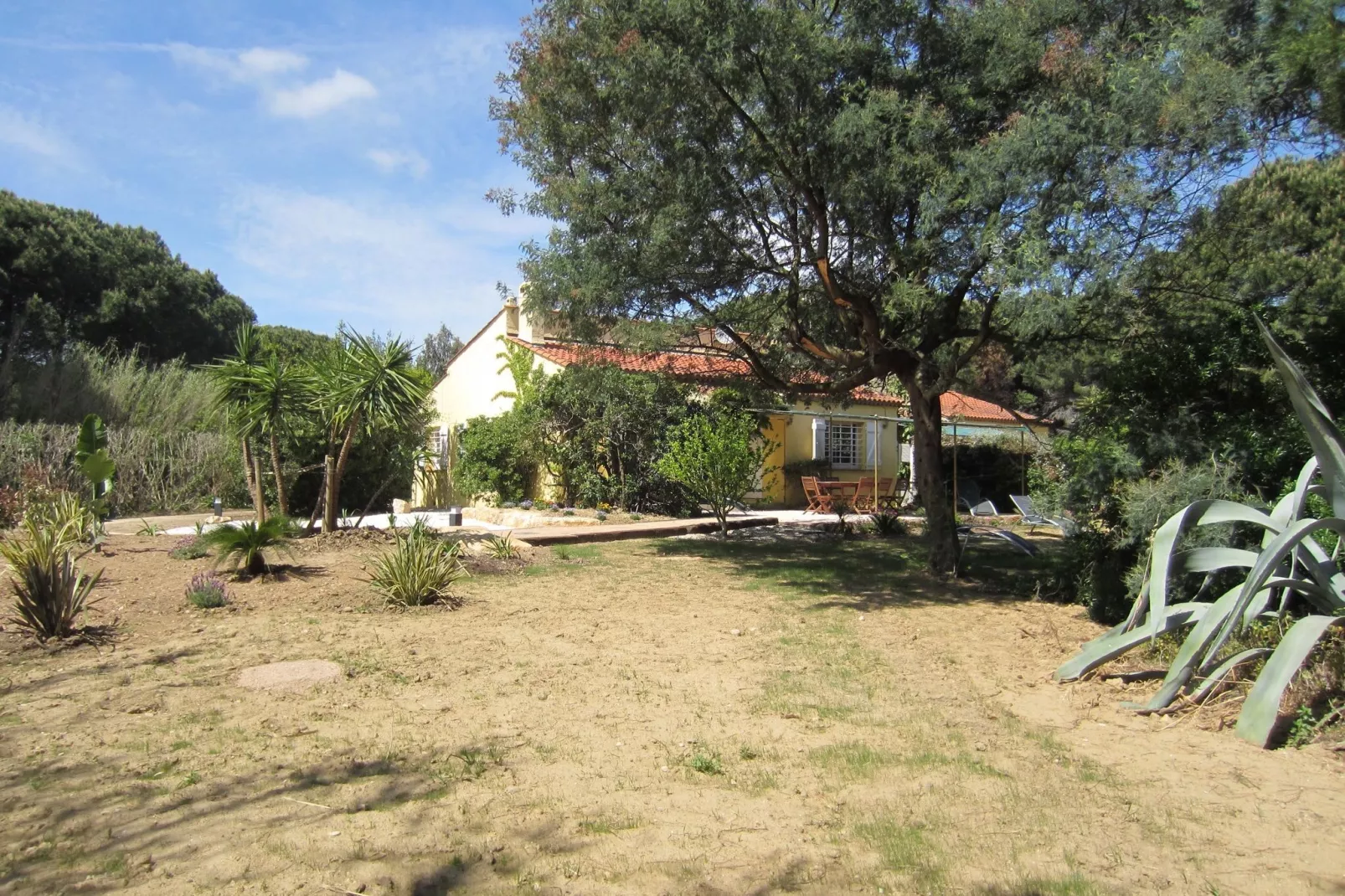 Romarins-Gardens summer