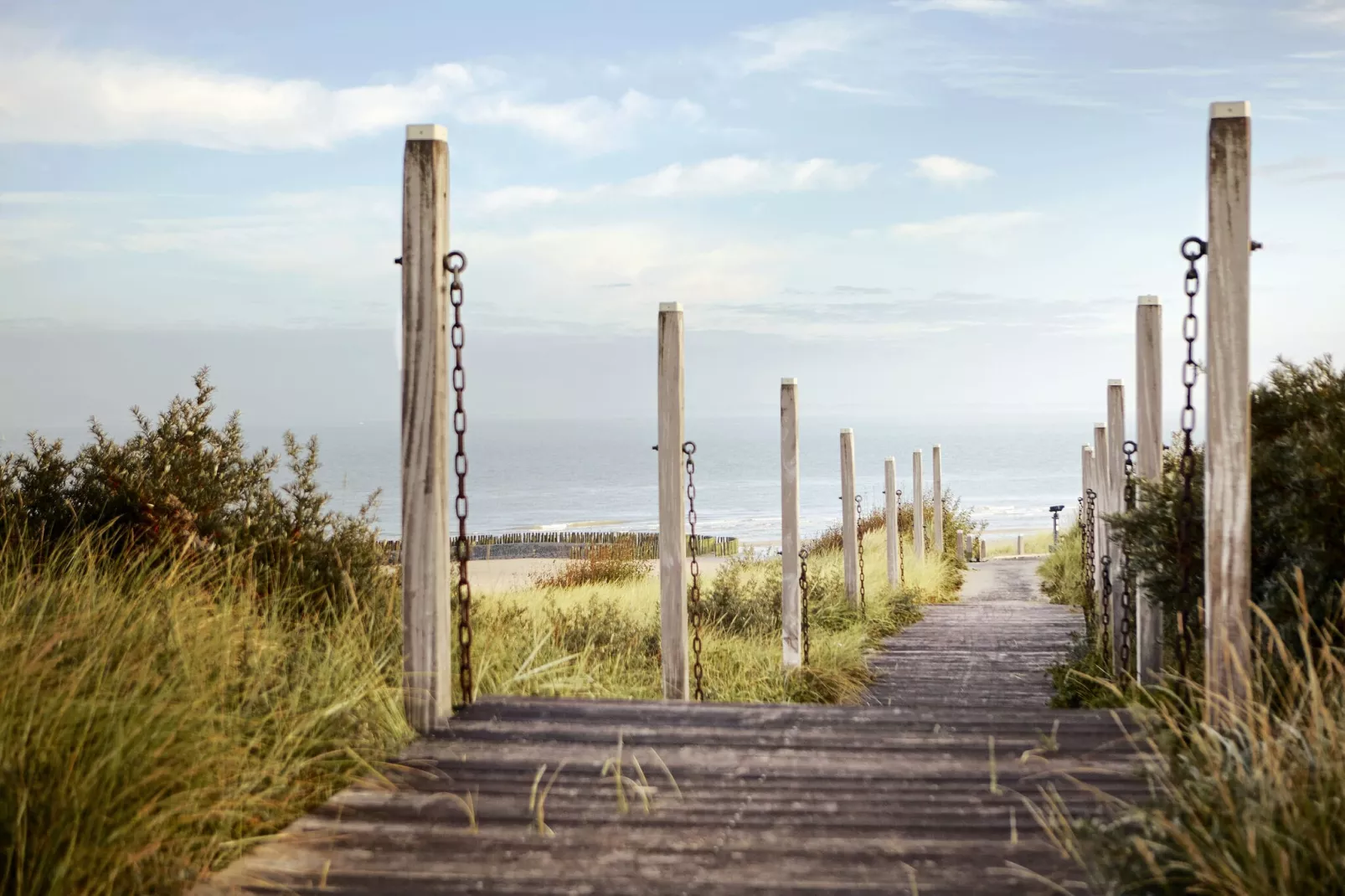 't Schuurtje-Areas summer 5km