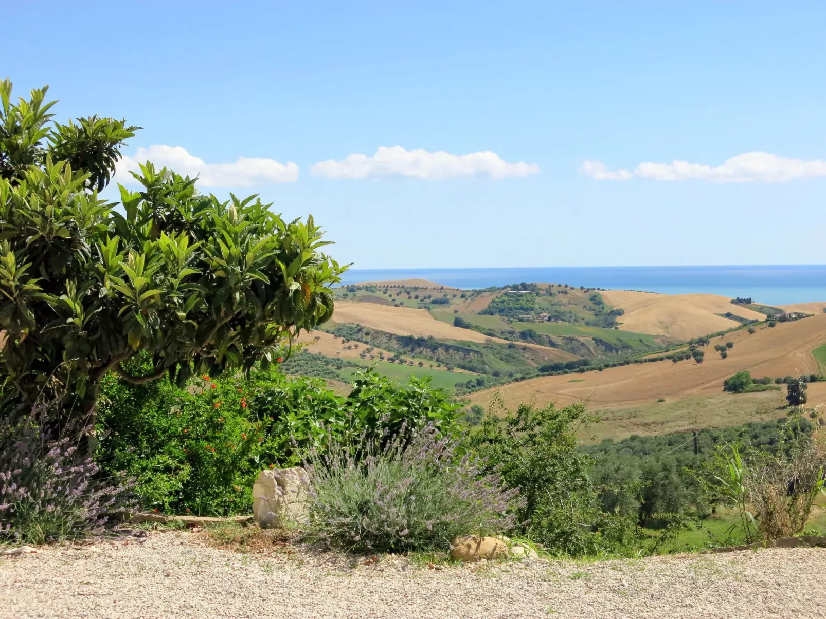 Serrani-Outside