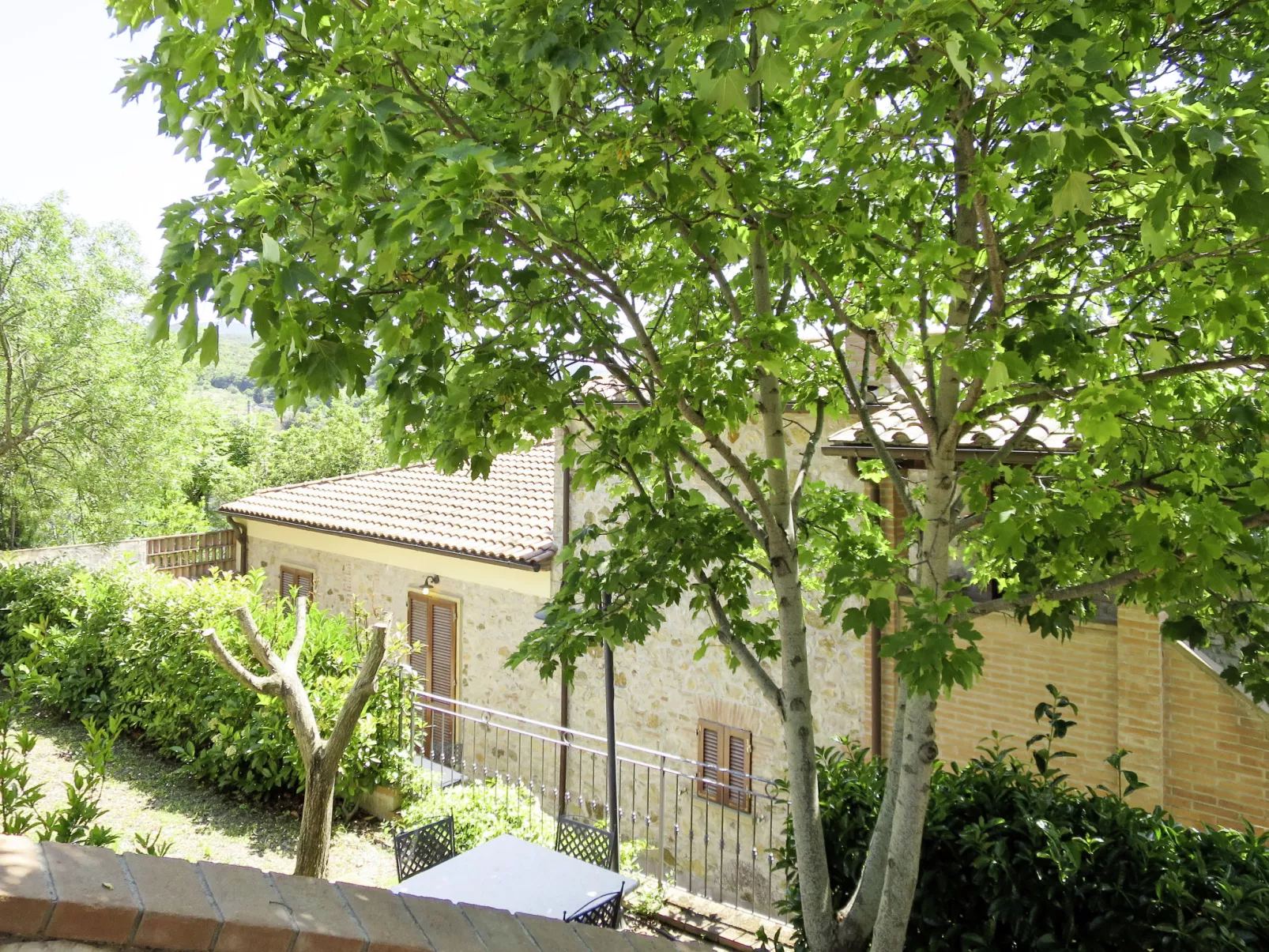 Tortora-Outside