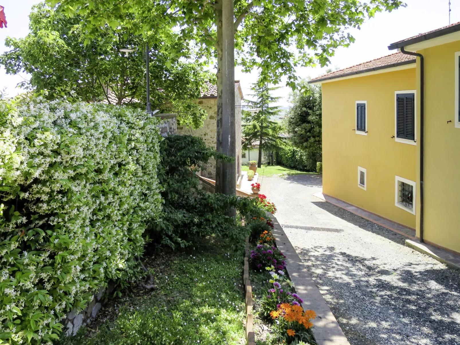 Tortora-Outside